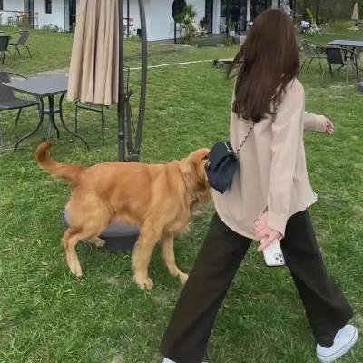 最后逃生